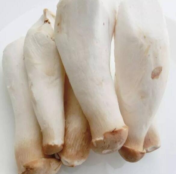 食用菌 (2).jpg 食用菌 (2).jpg